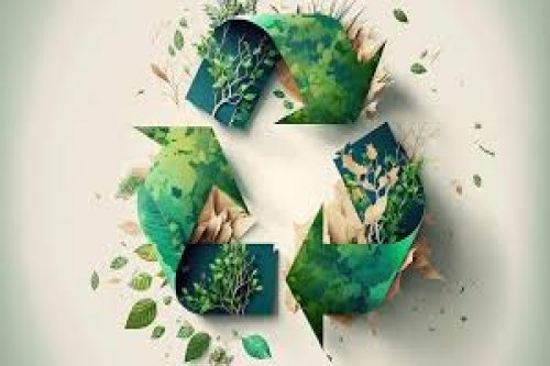 Eco-Friendly Recycling: Leading Steps by Paper Cups and Packaging Products