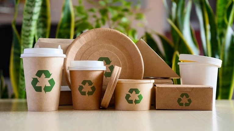 Eco-Friendly and Harmless Packaging Solutions